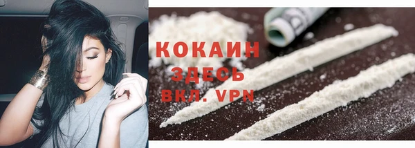 мяу мяу мука Вязьма