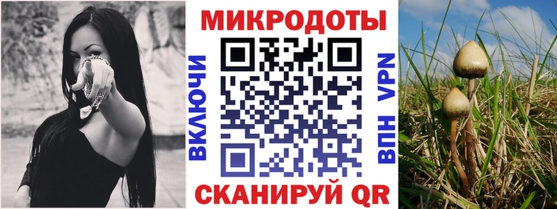 Псилоцибиновые грибы мицелий  Батайск 